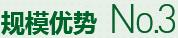 購(gòu)買(mǎi)蔬菜種子，鼎牌優(yōu)勢(shì)三
