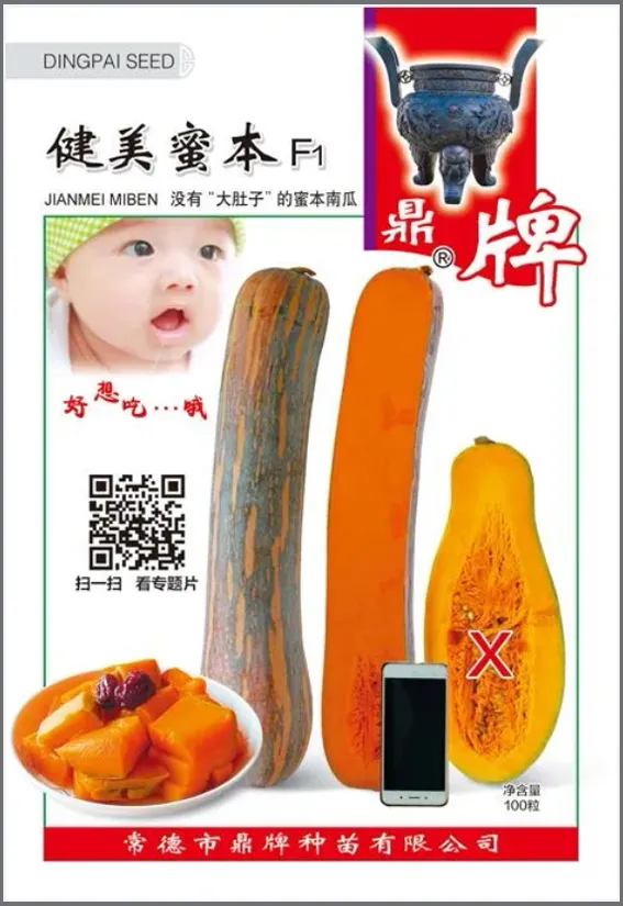 3元1斤的健美蜜本南瓜快成熟了，緬甸種植戶發(fā)來圖片與視頻