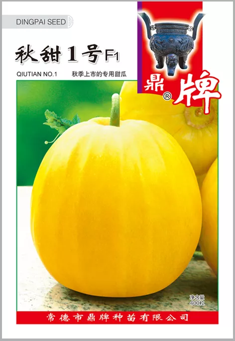 高溫季節(jié)種植甜瓜，什么品種最好？這個(gè)品種是秋季上市的專用品種