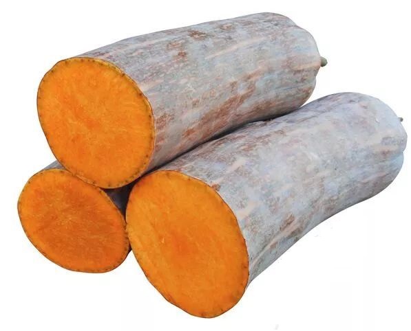 生吃都好吃南瓜新品種，沒(méi)有大肚子，肉質(zhì)更密致，農(nóng)戶試種下